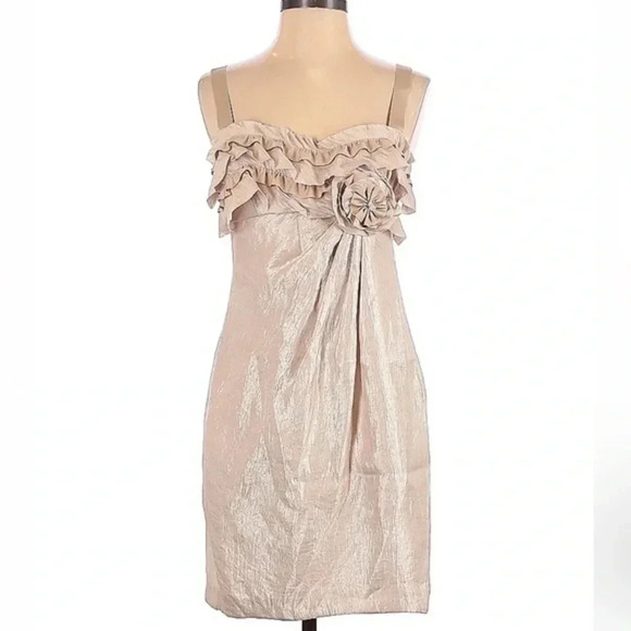 Boston Proper Rose Gold Shimmer Metallic Ruffle Sweetheart Neckline Dress Size 2 - Picture 2 of 7